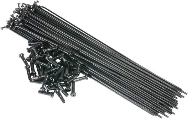 Salt BMX Speichen 190 mm