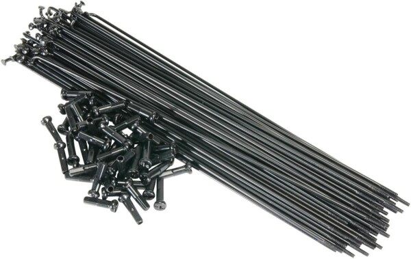 Salt BMX Speichen 184 mm