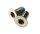 Sram Schrauben Titanium T25 Vielzahn 5mm,2 Stück,Flat Mount Caliper