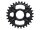 Shimano Kettenblatt 28 Z. schwarz, für FCM8100 1x12 f.
