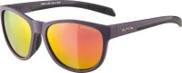Alpina Sonnenbrille Nacan II