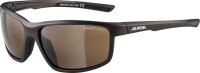 Alpina Sonnenbrille Defey
