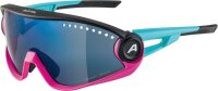 Alpina Sonnenbrille 5W1NG