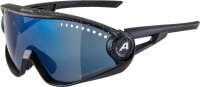 Alpina Sonnenbrille 5W1NG