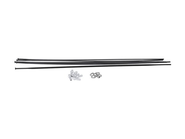 DT Swiss Speichenkit PR 1600 Dicut 21 VR + HR, schwarz