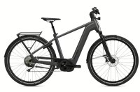 FLYER Gotour 7.10 (MY 2024 | 28" | 750Wh | Cold...